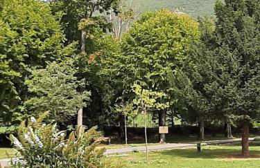 Le Parc château Gipieres - Foto 11