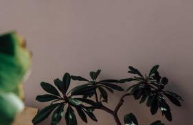 SUITES 9 MALAGA, three unique suites with private plunge pool - Photo 54