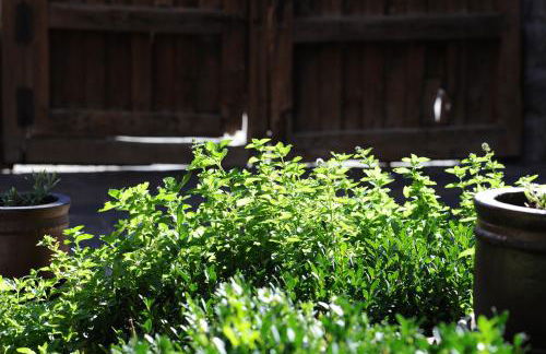 Solaz del Moros - Foto 44