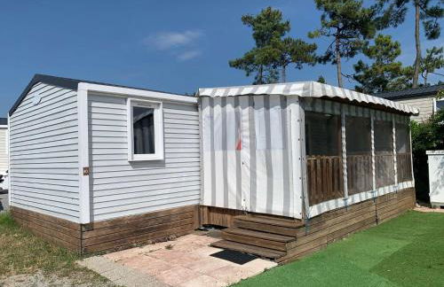 Le parc des roselieres 40 Saint Hilaire de Riez - Foto 1