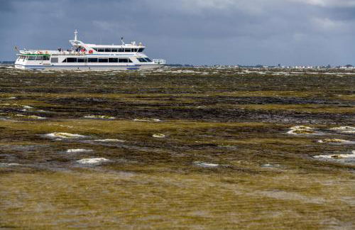 Apartment in Sehlen - Insel Rügen 3067 - Foto 28