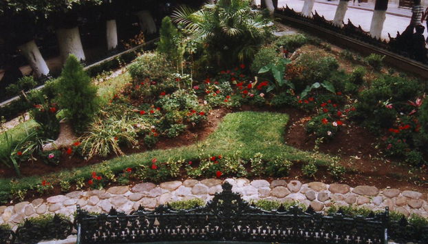 Tour Peatonal en Guanajuato - Foto 4