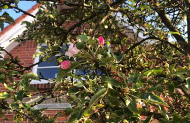 Friesenhus Dangast - Foto 24