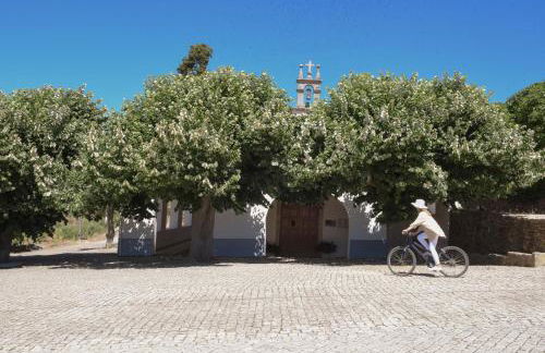 PH in Alto Douro Vinhateiro - Foto 82