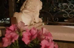 Casa Patricia - Foto 16