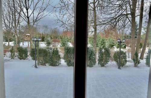 Willa Brancon - Foto 19