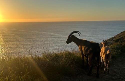 CAMELIA Casina Rural - Foto 23