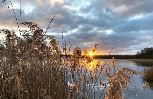 Ferienhaus direkt am See Uckermark - Photo 30