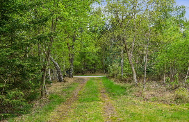 "Niglæs" - 700m from the sea - Foto 13