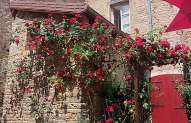 Astrid et Pierre-Antoine - Foto 17