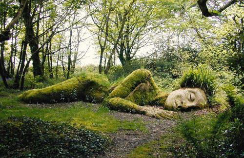 Shabby Shack near Charlestown & The Eden Project - Foto 20