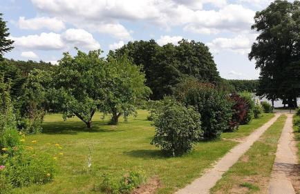 Ferienhaus Am Schlenken Lychen Uckermark - Photo 5