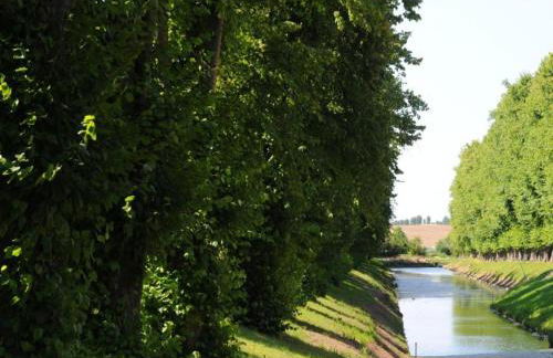 Moderne Ferienwohnung in Kluetz in Strandnahe - Foto 52