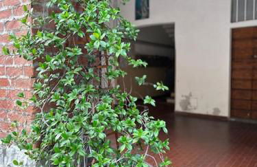 Casa Rovani - Foto 15