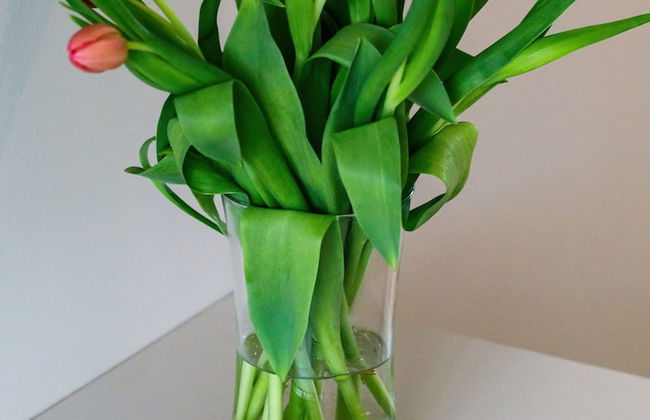 Seaside Apartamenty - Bałtycka 22 - Foto 19