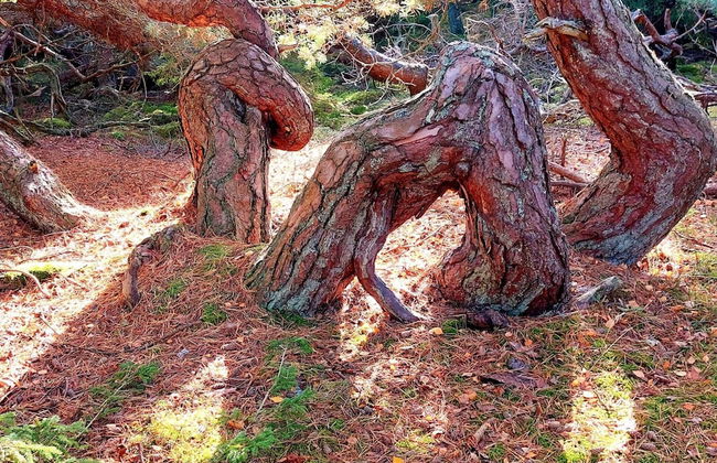 5 Person Holiday Home in Frederiksvaerk - Photo 14