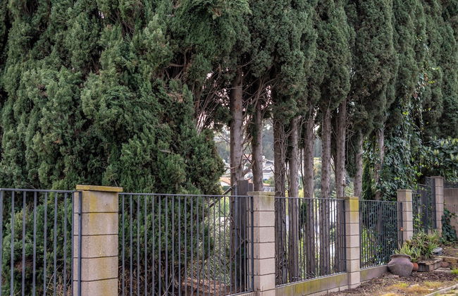 Serene Retreat & Modern Comforts in Rowland Heights - Foto 70