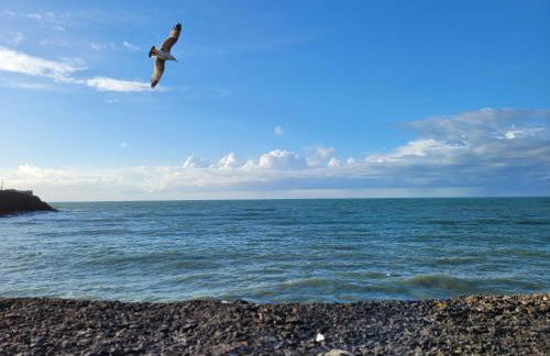 Ponycob hot tub 2 bed ensuite - Photo 24