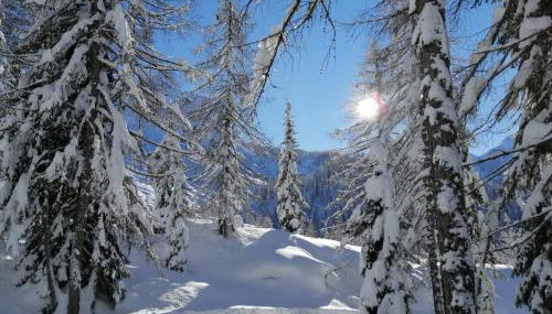 Vista Pelmo - Foto 5