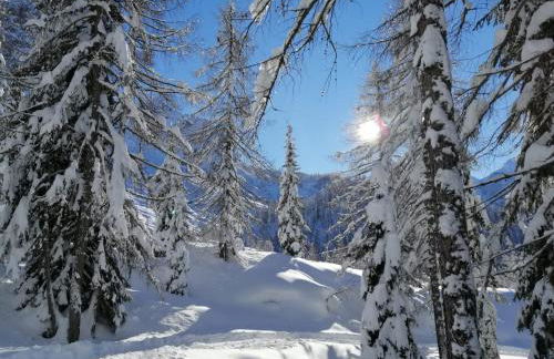 Vista Pelmo - Foto 5