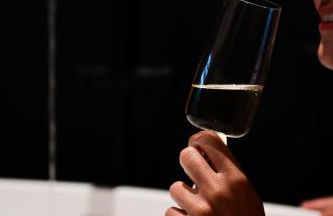 LE MARIN contemporary apartments - Foto 29