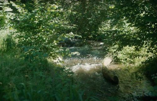 Apartments Wassermühle Stenten - Foto 10