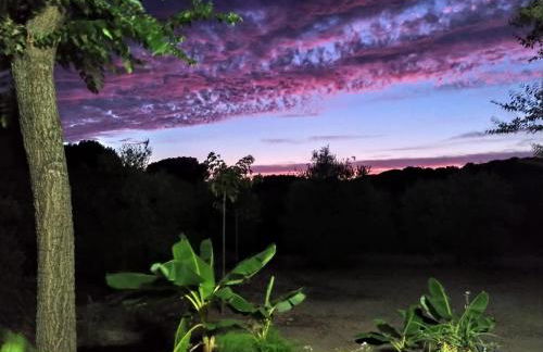 La Isabelita - Foto 39