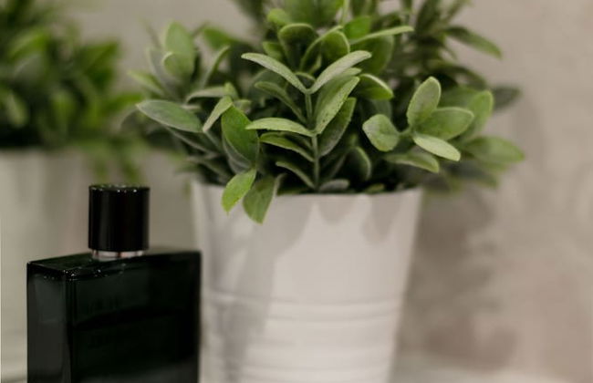 Elliot Suite No3 - Donnini Apartments - Foto 2