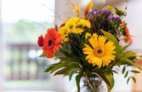 Gästehaus Steiert Fewo Kuhbergblick - Foto 12