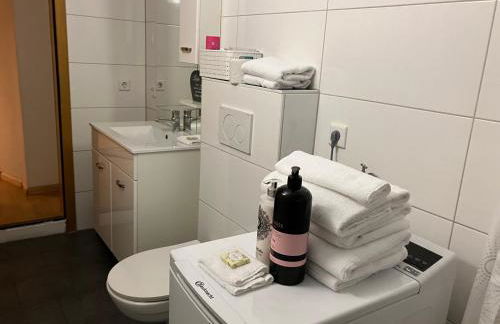 Ferienwohnung im Grünen EG mit Terrasse - Foto 29