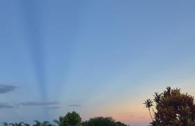 Rancho Bougainville - Foto 21