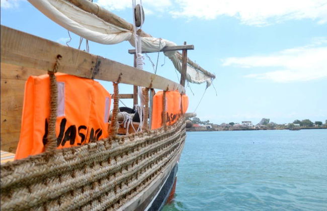 Avistamiento de delfines en el Parque Nacional Marino Kisite - Foto 6