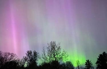 Cabin in the woods with fire pit and porch - Foto 34