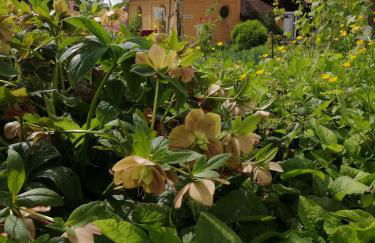 Lindenhof Tiefenellern - Foto 16