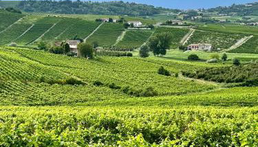 Bricco Aivè - Foto 4