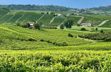 Bricco Aivè - Foto 4