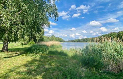 Ferienhäuschen in Beetz - in 5 min am See und Wald - Foto 21