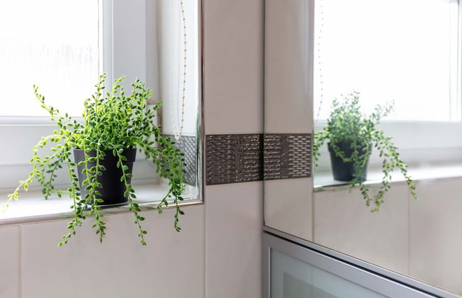 Elms Way No33 - Donnini Apartments - Foto 19