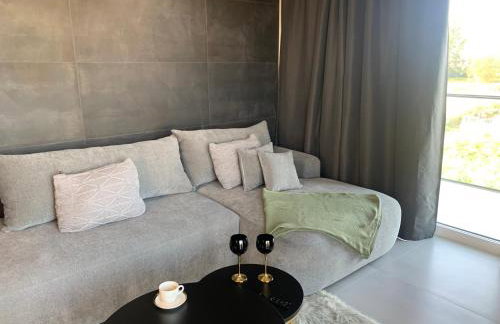 Black&Gold Apartament - Photo 24