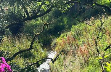 Gellyburn Cottage a Modern Farm Cottage with Countryside Views - Foto 63