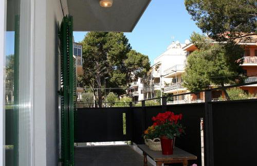 Calamilloraptm - Foto 22