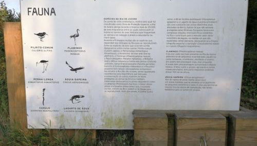 Casa da Balseira - Foto 5