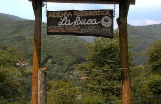 Agriturismo La Buca - Foto 7