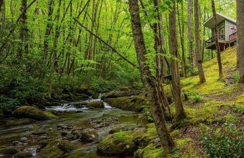 The Owl's Perch - Foto 4