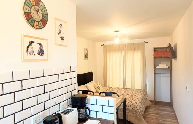 Laguna Studios - Photo 16