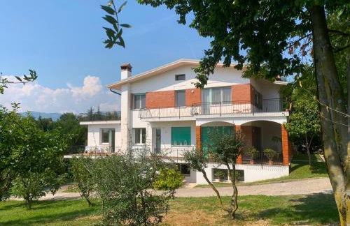 Al frutteto - Foto 43