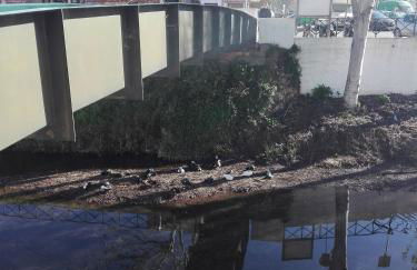 Ocean & Nature Flat - Aljezur - Algarve West Coast - 1,6km Praia Monte Clérigo - Foto 37