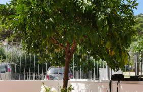 Spiaggia Dorata - Foto 32