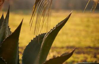 Old Villas Greco 1888 luxury swimming pool - Foto 19