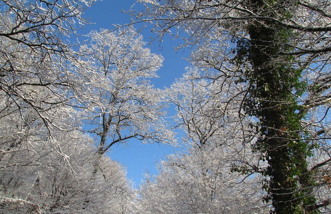 Quaint Chalet in Petithan With Roofed Pool - Foto 29